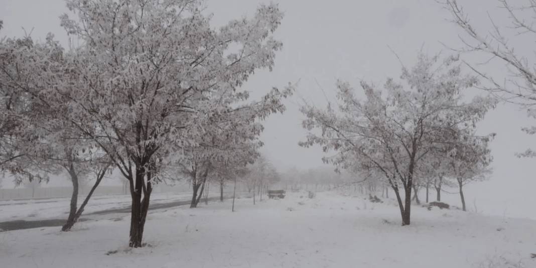 Bitlis’te dondurucu soğuk etkili oluyor: Hava sıcaklığı eksi 13,8 dereceyi gördü 5